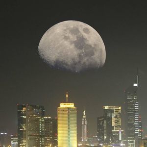 Meet your Posher, Gervais